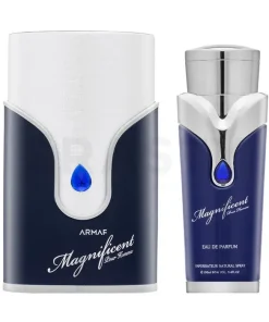 MAGNIFICENT BLUE POUR HOMME 100ML